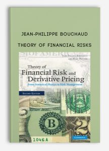 Theory of Financial Risks by Jean-Philippe Bouchaud