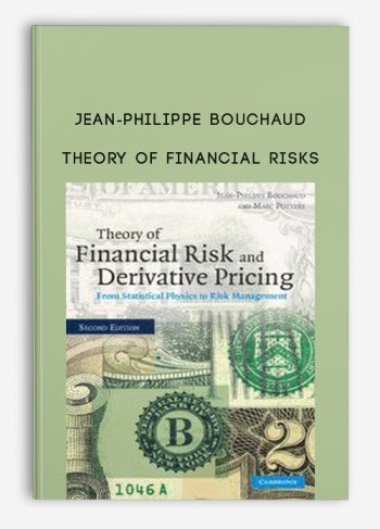 Theory of Financial Risks by Jean-Philippe Bouchaud