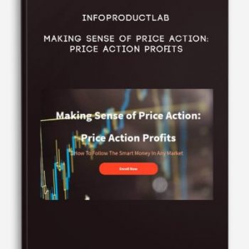 Infoproductlab – Making Sense of Price Action: Price Action Profits