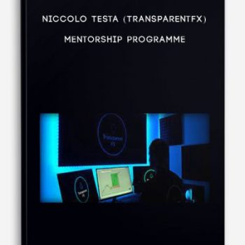 Niccolo Testa (TransparentFX) – Mentorship Programme