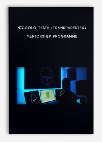 Niccolo Testa (TransparentFX) – Mentorship Programme