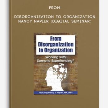 From Disorganization to Organization – NANCY NAPIER (Digital Seminar)