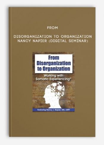 From Disorganization to Organization – NANCY NAPIER (Digital Seminar)