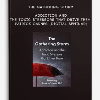 The Gathering Storm: Addiction and the Toxic Stressors that Drive Them – PATRICK CARNES (Digital Seminar)