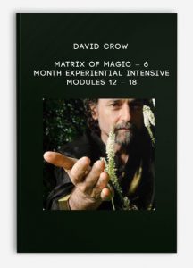 David Crow – Matrix of Magic – 6 – Month Experiential Intensive – Modules 12 – 18