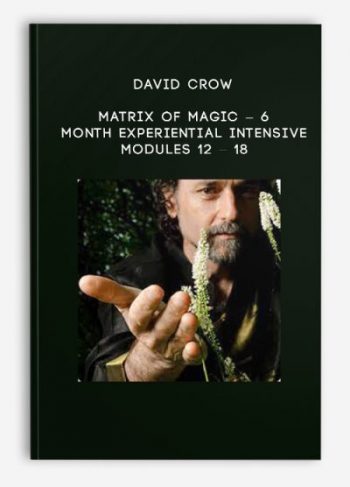 David Crow – Matrix of Magic – 6 – Month Experiential Intensive – Modules 12 – 18