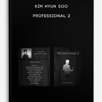 Kim Hyun Soo – Professional 2