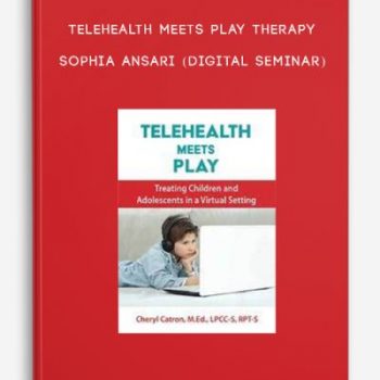 Telehealth Meets Play Therapy – SOPHIA ANSARI (Digital Seminar)