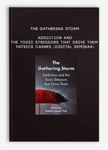 The Gathering Storm: Addiction and the Toxic Stressors that Drive Them – PATRICK CARNES (Digital Seminar)