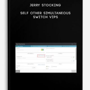 Jerry Stocking – Self Other Simultaneous Switch VIPs