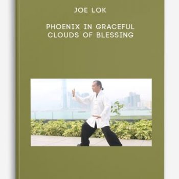 Joe Lok – Phoenix In Graceful Clouds of Blessing