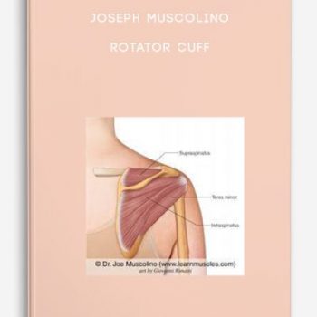 Joseph Muscolino – Rotator Cuff