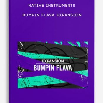 Native Instruments – Bumpin Flava Expansion