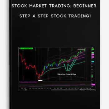 Simpler Trading – VWAP Max Tool Package – Raghee Horner